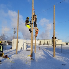 Our latest Utility Pole Climbing & Working Aloft Competency Training